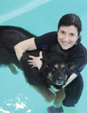 Reiki in the Water... With Dogs!