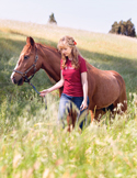 Reiki with Horses: They are the Teachers