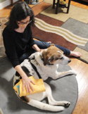 Animals in Pain, Reiki to the Rescue