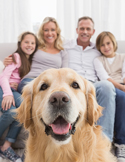 Animal Reiki Heals the Whole Family