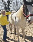 The Joy of Reiki’s Healing Power with Horses