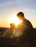 Silhouette of a person kneeling and petting a dog outdoors, backlit by a bright setting sun.
