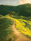 A dirt path winds up a vibrant green and yellow grassy hill toward a lone tree under a cloudy sky.