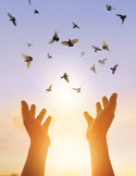 A flock of birds takes flight into a bright, sunlit sky above two raised hands.