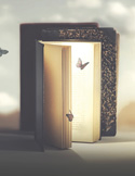 A glowing, open book stands on a surface with small butterflies resting on its pages.