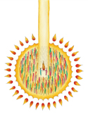 Colorful abstract Reiki energy symbol with a golden vertical beam