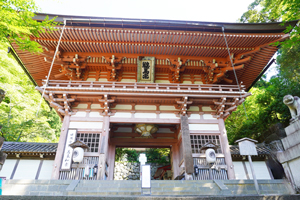 Mt. Kurama Entrance