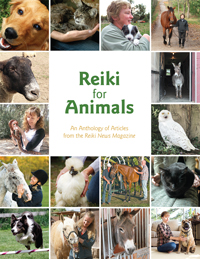 Reiki for Animals | Reiki