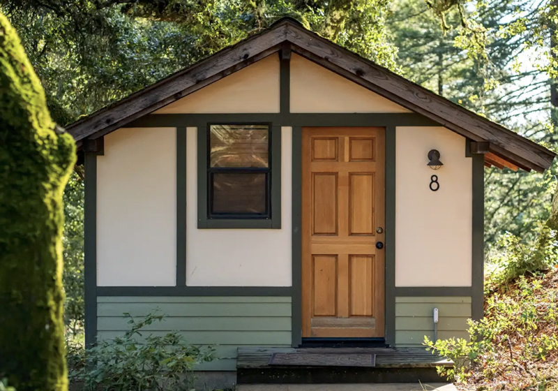 Cabin: Small forest cabin with a wooden door, dark trim, and moss-covered trees surrounding it.
