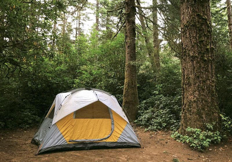 Camping: Yellow and gray dome tent pitched on a dirt clearing surrounded by dense evergreen forest.