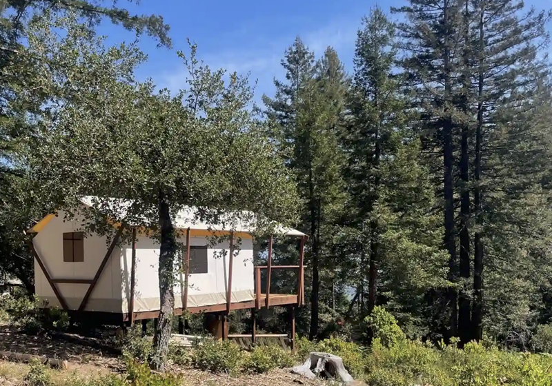 Glamping: Canvas glamping tent on a raised wooden platform among trees, with a porch and forest surroundings.
