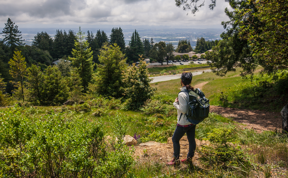 Hiker with a backpack stands on a wooded trail overlooking a lush valley, evergreen trees, and distant mountains under a cloudy sky.
