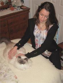 Our cat Clio receives Reiki from daughter Danielle.