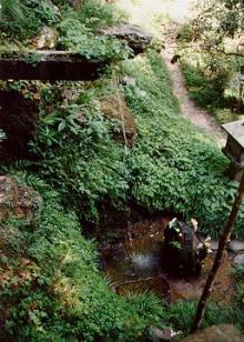 Meditation Waterfall Mt. Kurama