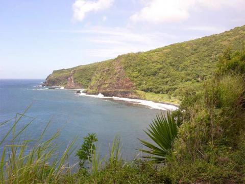 View near the beginning of the hike