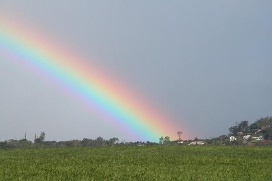 Lots of rainbows in Hawaii