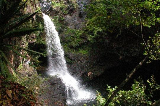 Another waterfall along the trail