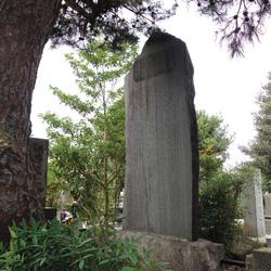 Sacred Reiki Sites of Japan - Streaming Video