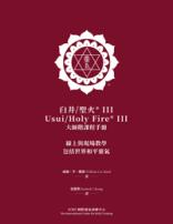 Maroon cover of a Cantonese Usui/Holy Fire® III Reiki Master manual featuring a white ICRT logo and bilingual course information.